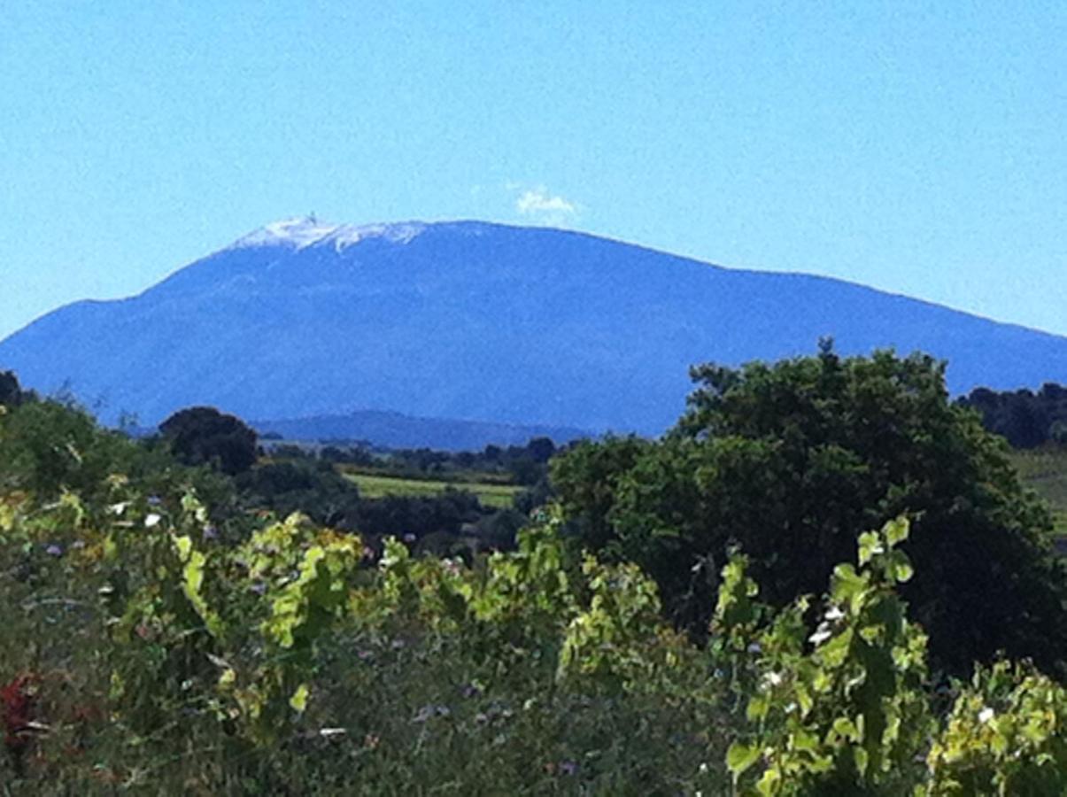 Domaine Fontaine Holiday home Visan