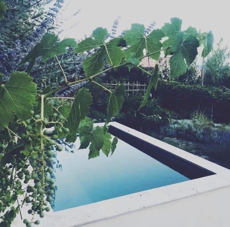 Domaine Fontaine * Visan
