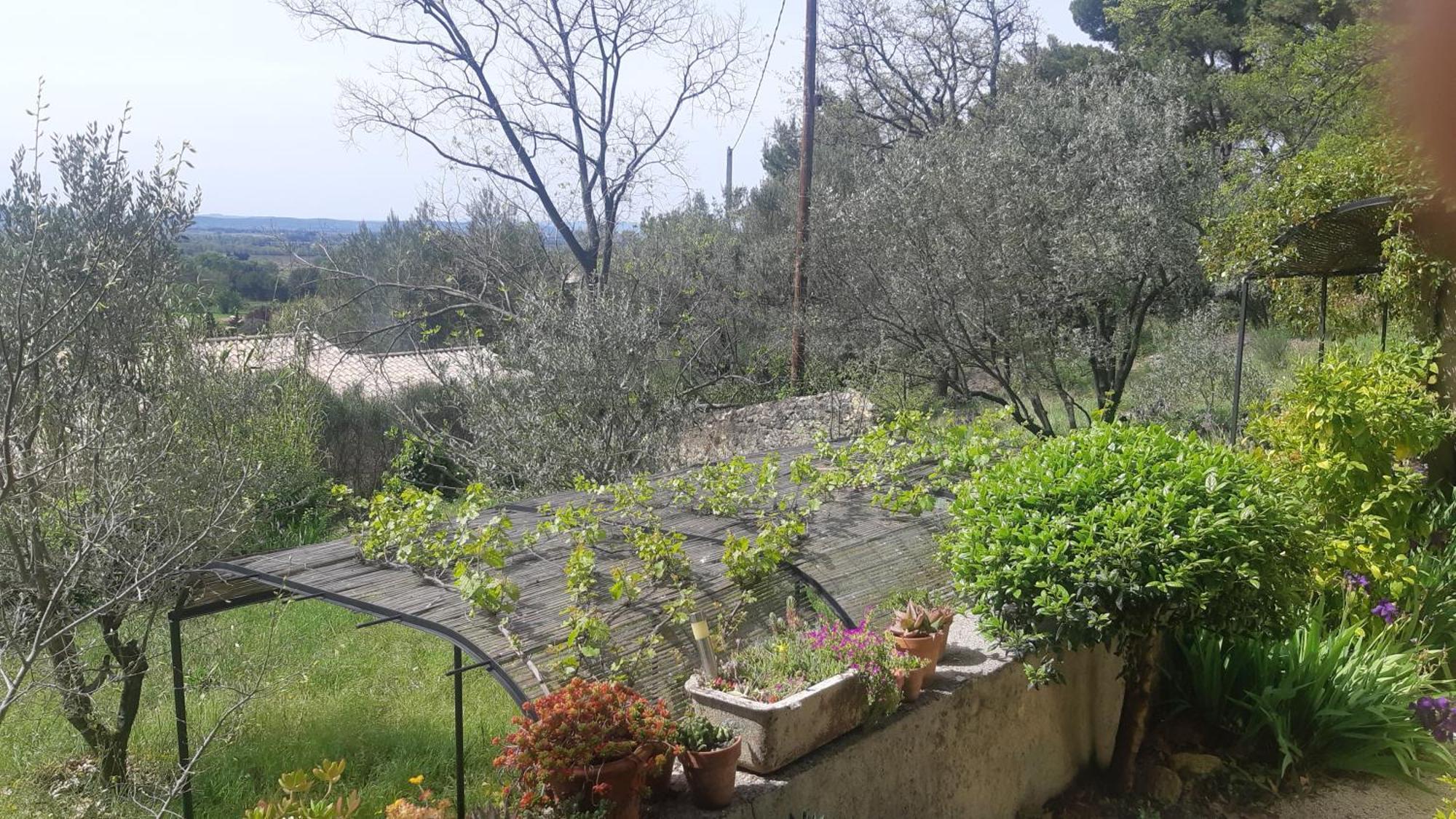 Domaine Fontaine *